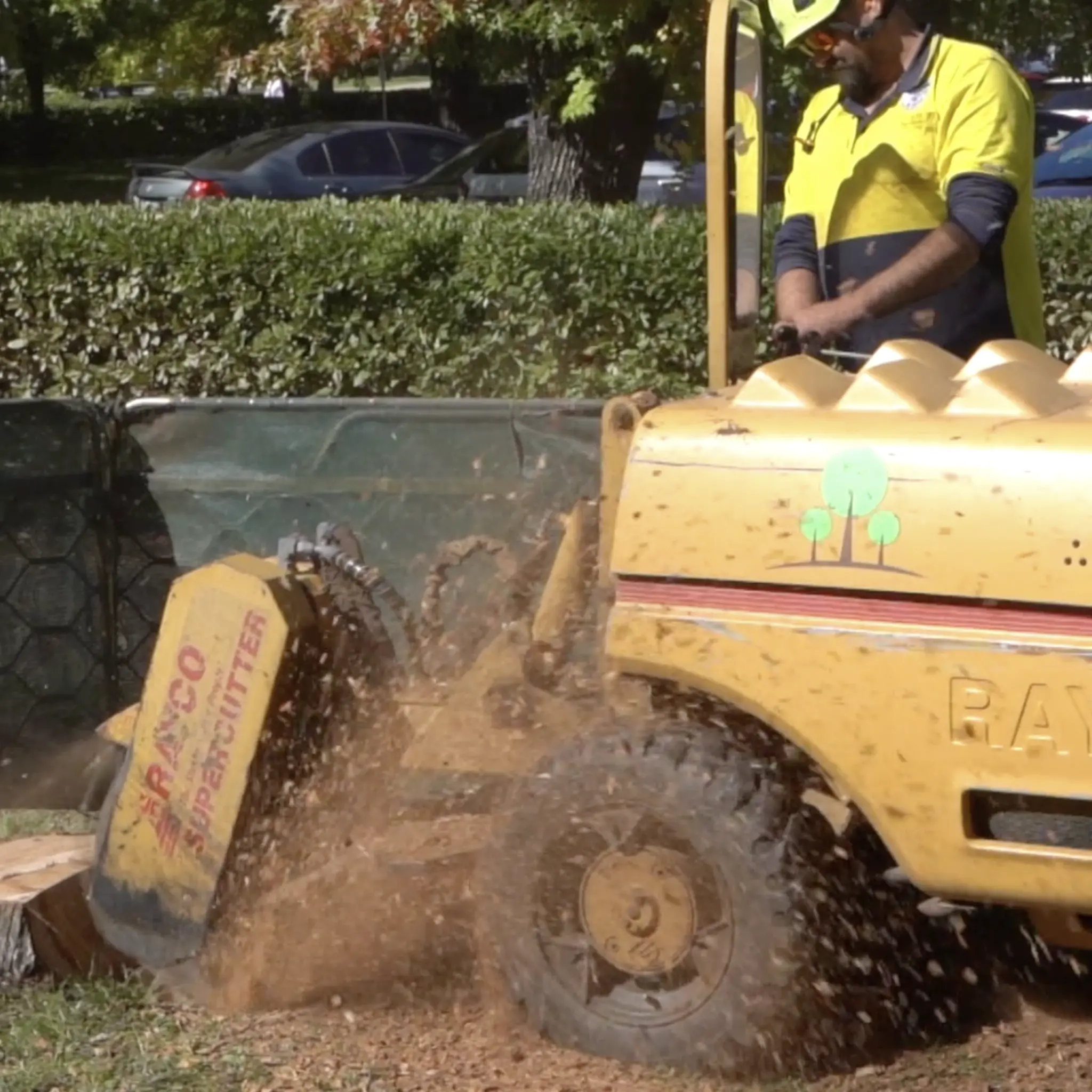 stump grinding O'Brien Tree Services